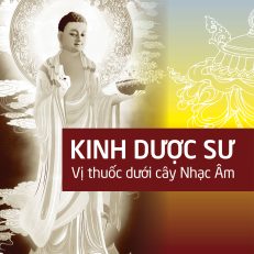 Kinh Dược Sư - Vị Thuốc Dưới Cây Nhạc Âm